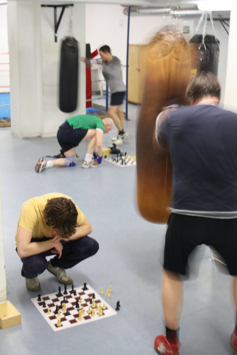 The new sport for those with brains AND brawn it's chess-boxing!